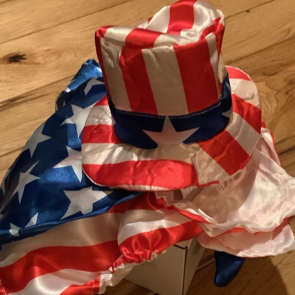 Patriotic Red, White, and Blue Hat and Cape Set for dog or cat up to 16 pounds